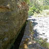 Plants: image 12 0f 8 thumb