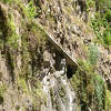 Plants: image 7 0f 8 thumb