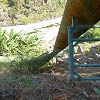 Plants: image 10 0f 18 thumb