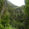 Plants: image 2 0f 11 thumb