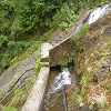 Plants: image 12 0f 17 thumb
