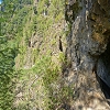 Plants: image 11 0f 12 thumb
