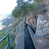 Plants: image 5 0f 13 thumb